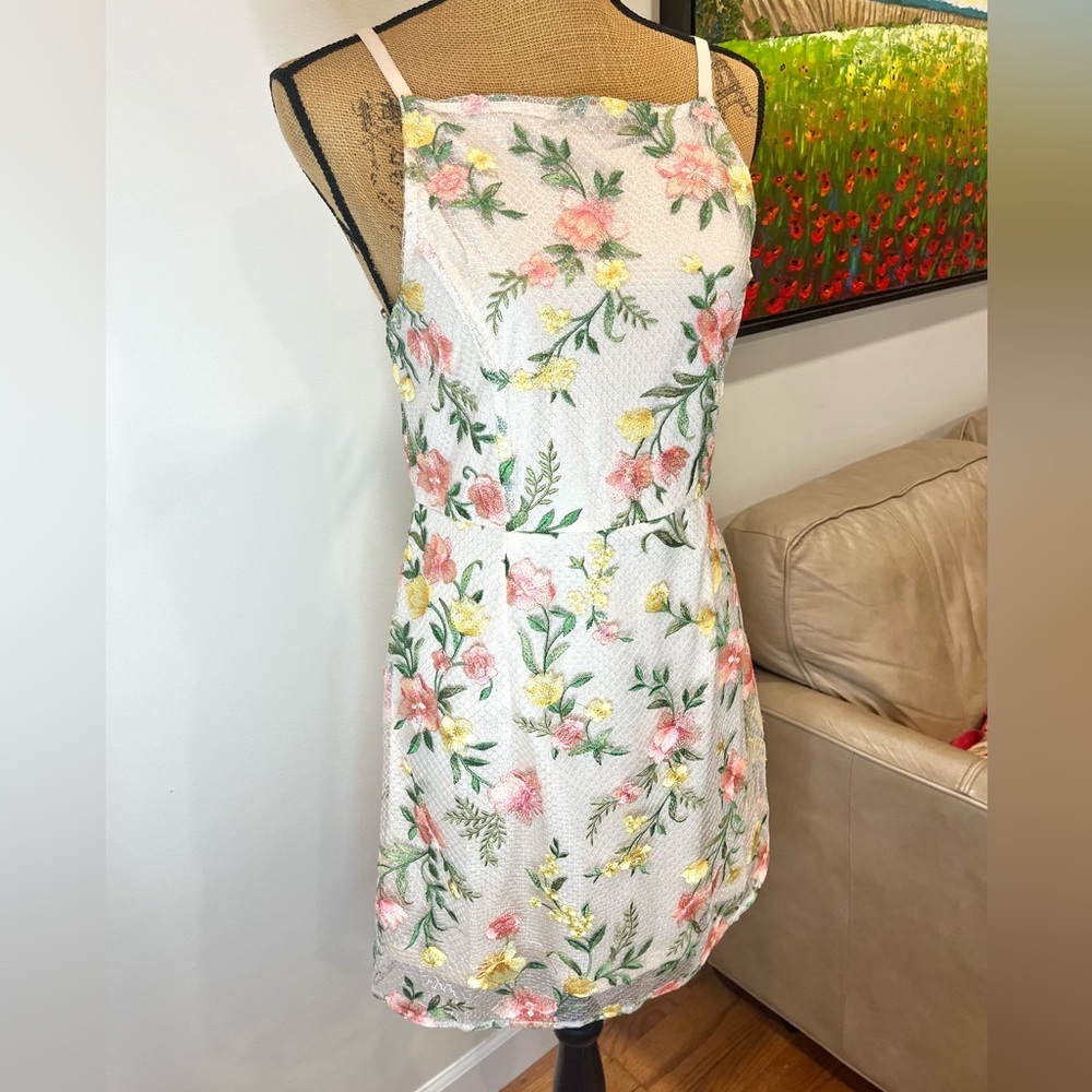 Sam Edelman Embroidered Mesh Mini Dress Cream Pink NWT Size 8 - Picture 11 of 14